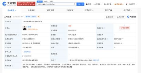 陳坤上海東申童畫工作室注銷，企業形象策劃的反思與啟示